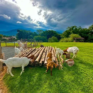 Zilz , Pomerode Brasil
